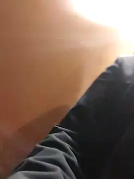 Show Webcam de seylver93