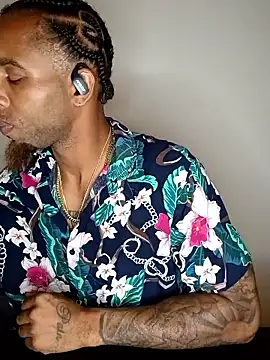 king-Camino webkamerás műsora