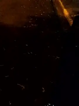 ElicitedMotive Webcam show