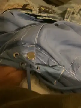 dingodingのウェブカメラショー