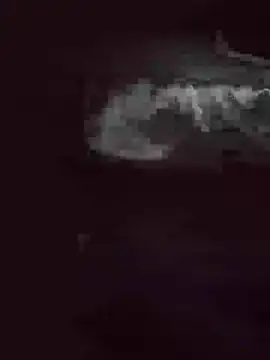 Chat XXX Live Biknight