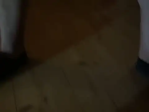 deskriptive webkamerás műsora