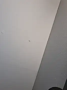 Show webcam de stressrliver88