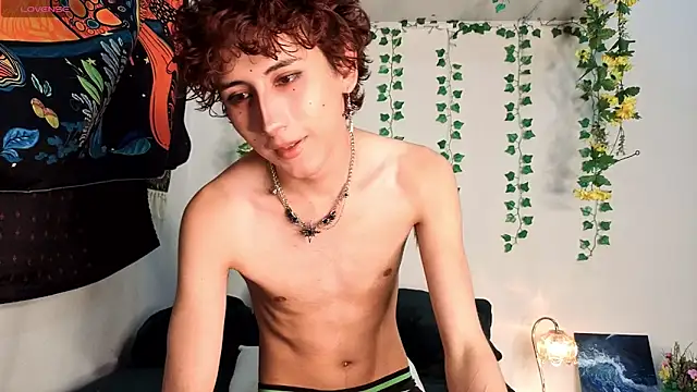 Show webcam de noynxz