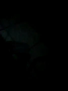 PJameydPattt Webcamshow