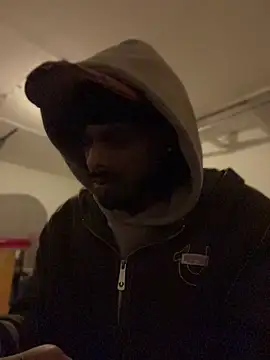 dingoding: вебкам-шоу