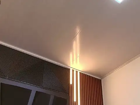 Show modela Oliver_Laurent_ na web-kameri