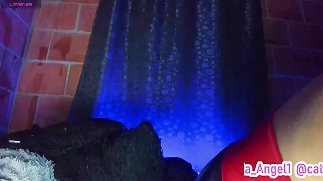 Cata-angel 라이브 XXX 채팅