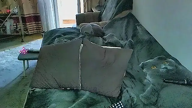 دردشة sex2 الجنسية المباشرة