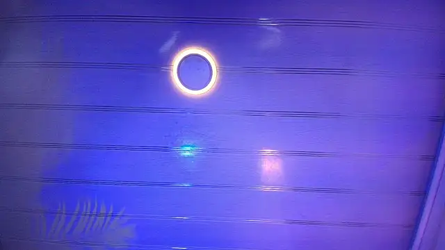 sakuramoss Adlı Modelin Canlı XXX Sohbeti