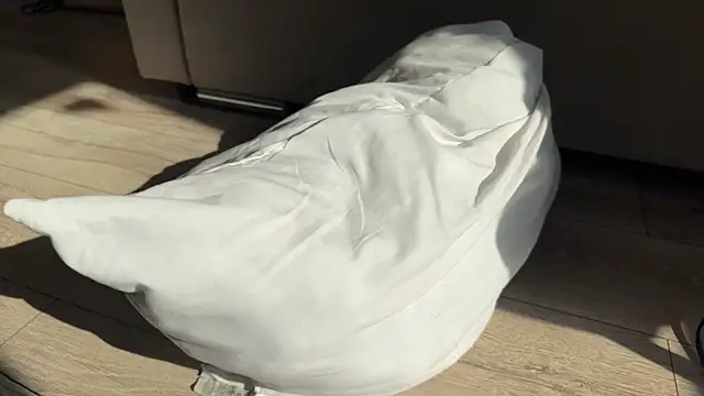 weshycouple's Live XXX Chat