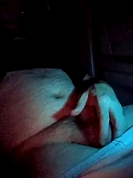 Show webcam de crazycam619