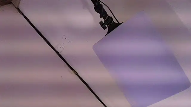 Chat XXX en directo de sakuramoss