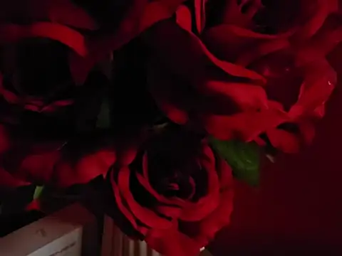 Chat XXX en directo de _MissJaneWarren_