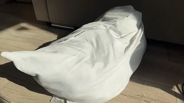 weshycouple Live XXX-chat