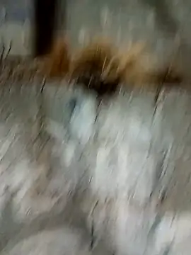 Chatroom XXX en direct de Labellasex