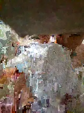 Show webcam de Eter29