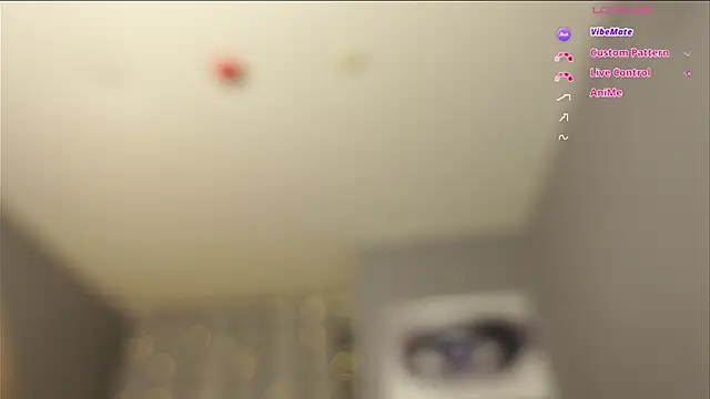 Megany – Kamerová šou