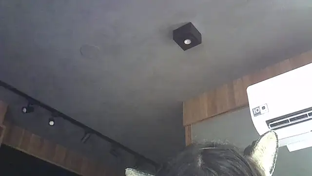 Show de webcam de SkinnyKitten