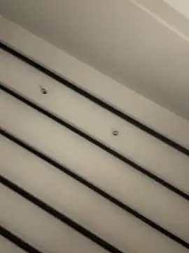 curchez_ 라이브 XXX 채팅