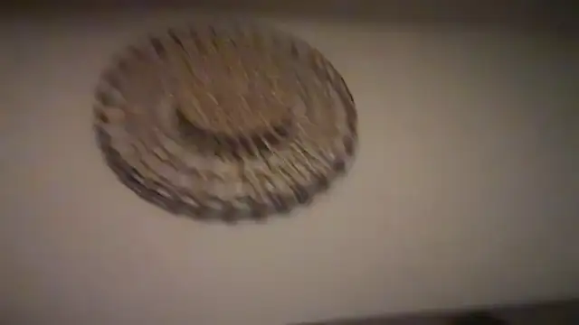 KungFuPanda001 élő XXX-chatje