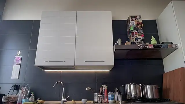 Show modela theitalianbear na web-kameri