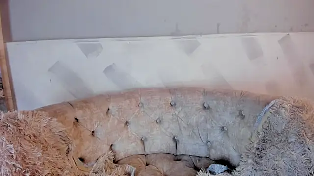 VioletWinters Live XXX-chat