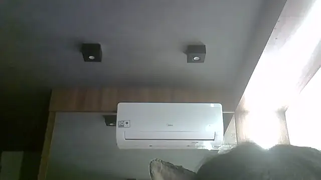 SkinnyKitten Webcam Show