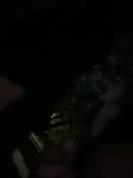 Pertunjukan Kamera Web lindaandtony