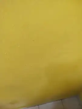 Davidhdz1988Jj's Webcam Show