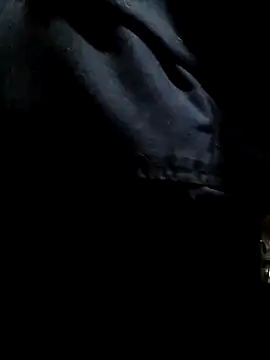 Wero4200 – Kamerová šou