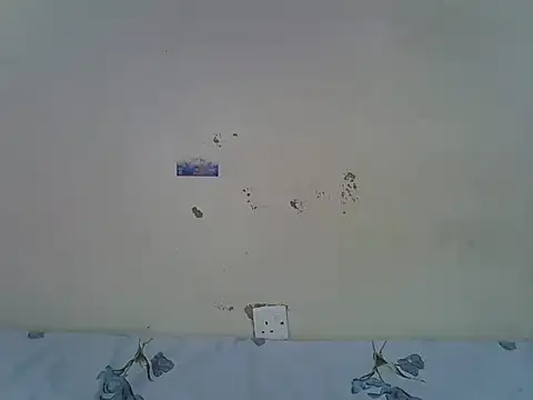 Chat +18 de Rasta_tattooed ao vivo