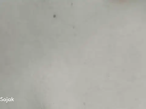 SOJAK: απευθείας συνομιλία ΧΧΧ