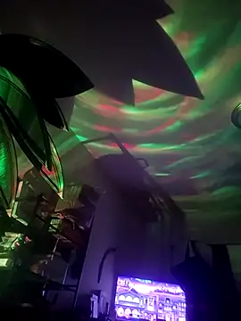 jilljizzle1990 – Kamerová šou