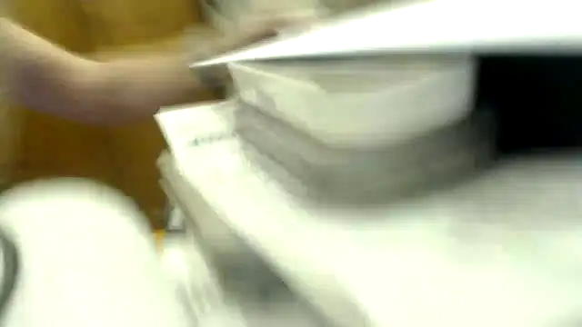 عرض كام pedrey1