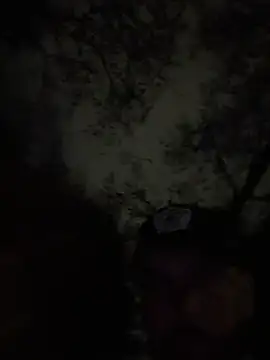 Webkamerová show lindaandtony