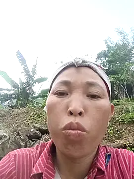 NIANIAKUTE Show Webcam