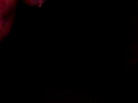 แชท XXX สดของ GoloZeusMax