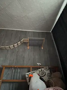 KishaMur Adlı Modelin Canlı XXX Sohbeti