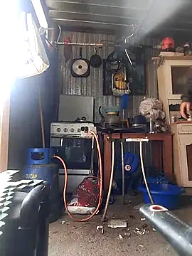 Show webcam de sarpe4