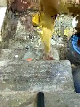 Pertunjukan Kamera Web X-boy-11