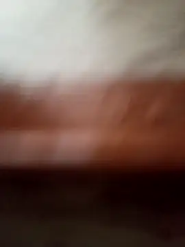 Gujjuuboys Live XXX-Chat