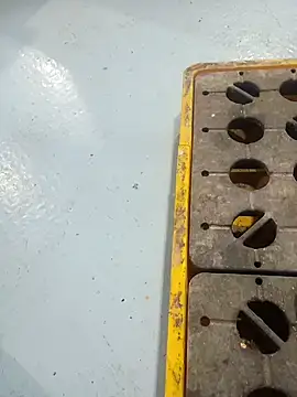 Stallionbull37 Live XXX Chat