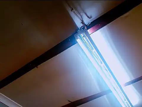 DidyBerry: διαδικτυακό σόου στην κάμερα