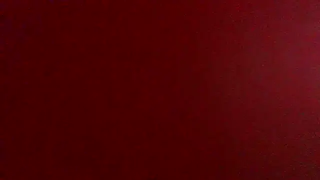 vargas90 网络视讯表演