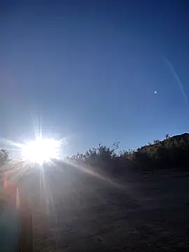 FloppyPickle4u Obrolan Langsung XXX