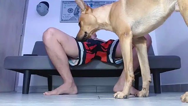 boss_of_cash Adlı Modelin Canlı XXX Sohbeti