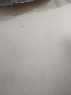 Moubie1 Live XXX-Chat