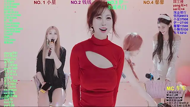 ZZ00033S Show Webcam