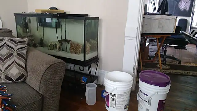 Pertunjukan Kamera Web EspanolVato